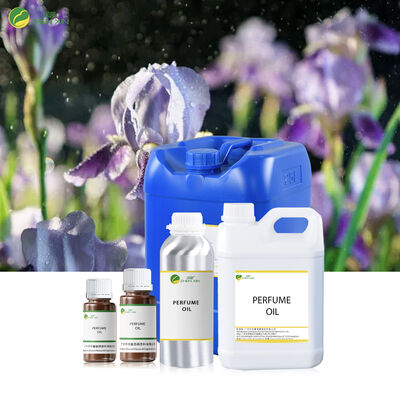 Long Lasting Essential Oil Perfume Wholesale Bulk Designer Arabic Perfume Oil Bulk Body Oil Perfumes for Women Wholesale